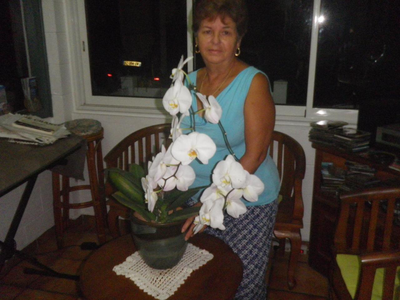 Bed and Breakfast Chez Mamie Les Avirons Екстер'єр фото